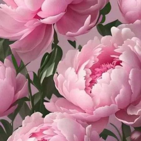 비토르키아노 La Peonia 아파트 외부 사진