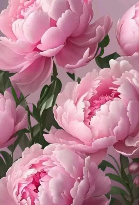 비토르키아노 La Peonia 아파트 외부 사진