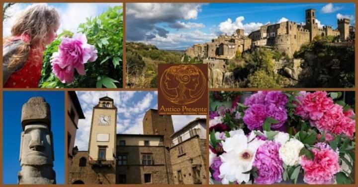 비토르키아노 La Peonia 아파트 외부 사진